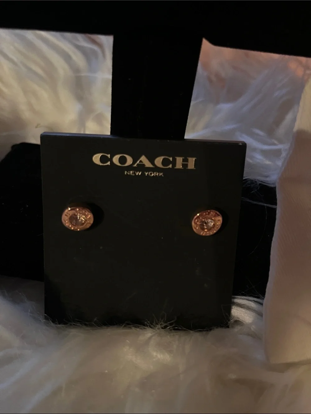 Coach earrings